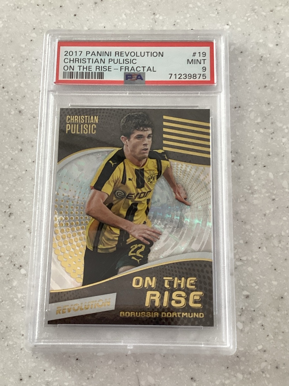 Panini Yellow & Black On The Rise Soccer Card - Christian Pulisic